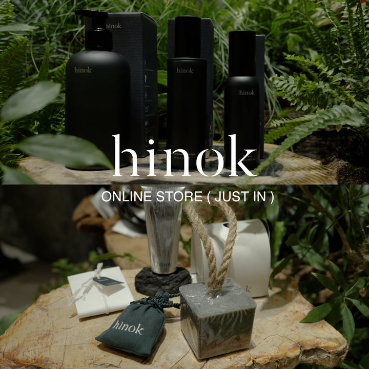 JUST IN ー hinok